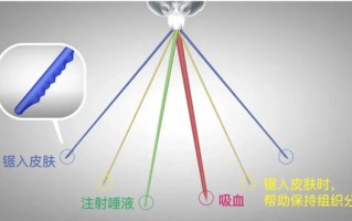 拍死正在吸血的蚊子，嘴会断在肉里吗
