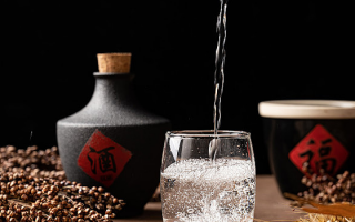 长期大量饮酒对人体的哪个脏器损害最严重？