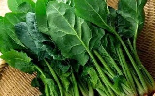 菠菜，大力水手的最爱