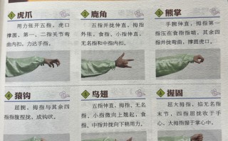 【视频】健身气功五禽戏详细教学，每一步都有讲解