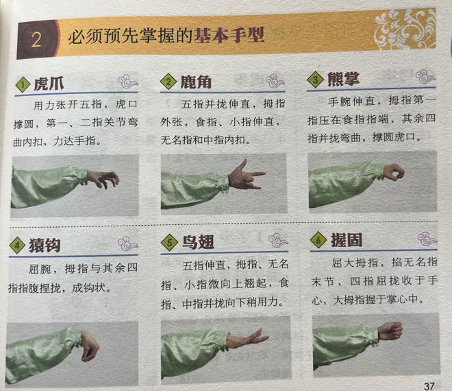 基本手型
