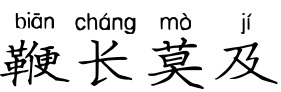 鞭长莫及