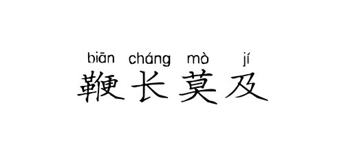 【成语典故】鞭长莫及