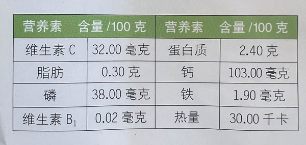 菠菜的营养成分